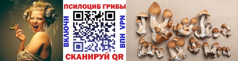 магазин  наркотиков  Юрьев-Польский  Галлюциногенные грибы GOLDEN TEACHER 